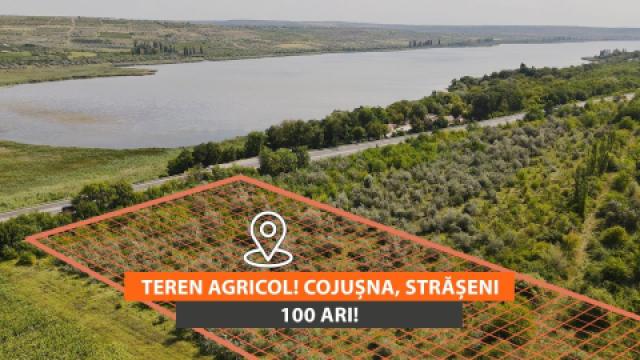 Agricultural land 100 aries! Cojusna, Straseni!: 0