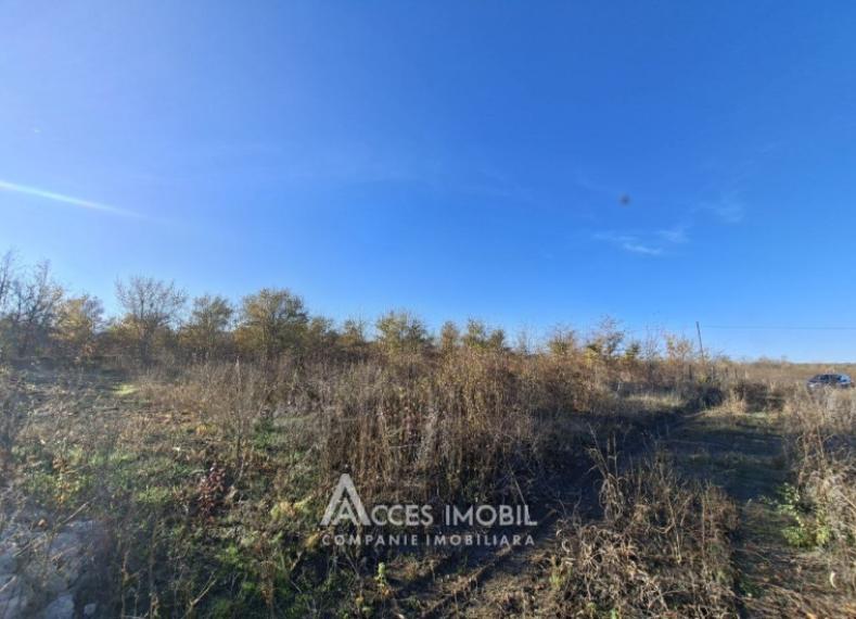 Teren pentru construcție 5 ari! Bubuieci, str. Podgorenilor!: 2