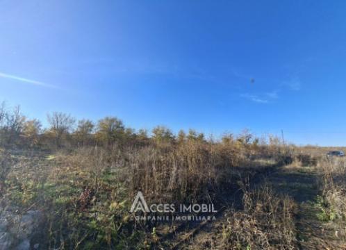 Teren pentru construcție 5 ari! Bubuieci, str. Podgorenilor!: 2