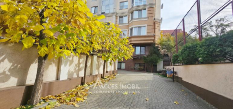 Spațiu Comercial 46m2! Centru, str. Ivan Zaikin. Euroreparație!: 1