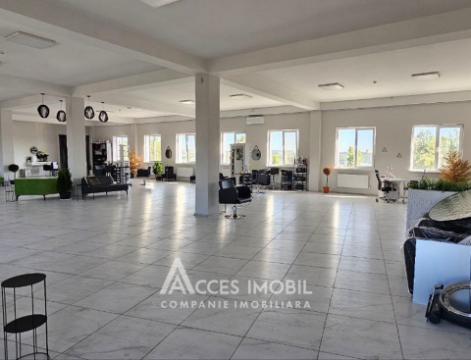 Chirie! Spațiu Comercial, 320m2! Buiucani, str. Bariera Sculeni! Euroreparație!: 5