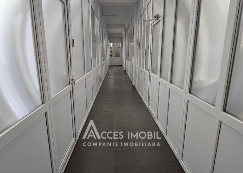 Chirie! Spațiu Comercial, 320m2! Buiucani, str. Bariera Sculeni! Euroreparație!: 6