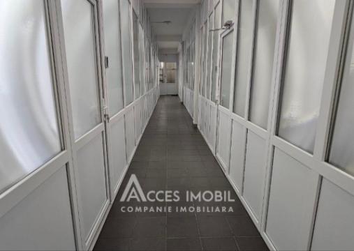Chirie! Spațiu Comercial, 320m2! Buiucani, str. Bariera Sculeni! Euroreparație!: 6