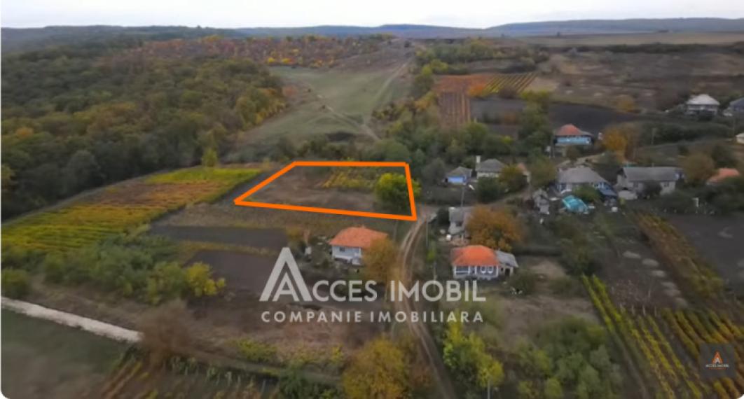 Land for construction 21.47 ares! Orhei, Donici village!: 0