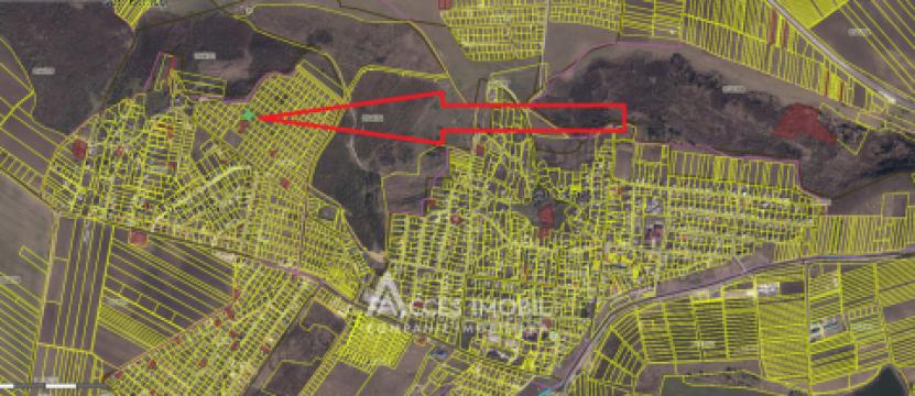 Земельный участок под строительство 7 соток! Келтуитори, ул. Триколорулуй!: 4