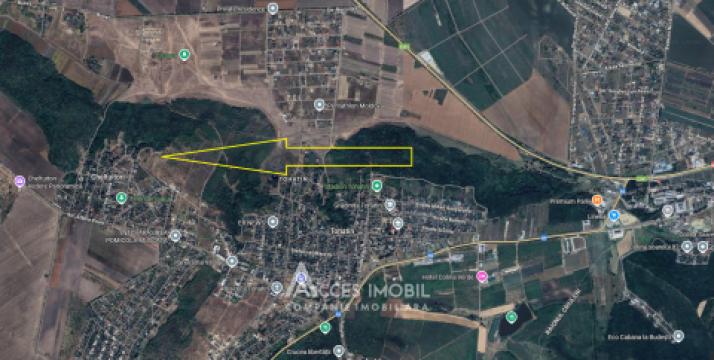 Земельный участок под строительство 7 соток! Келтуитори, ул. Триколорулуй!: 5