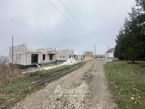 : Cheltuitori, str. Tricolorului