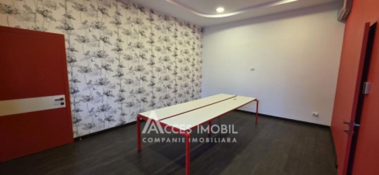 Chirie! Spațiu Comercial 380m2! Centru, str. Alexei Șciusev. Euroreparație!: 13