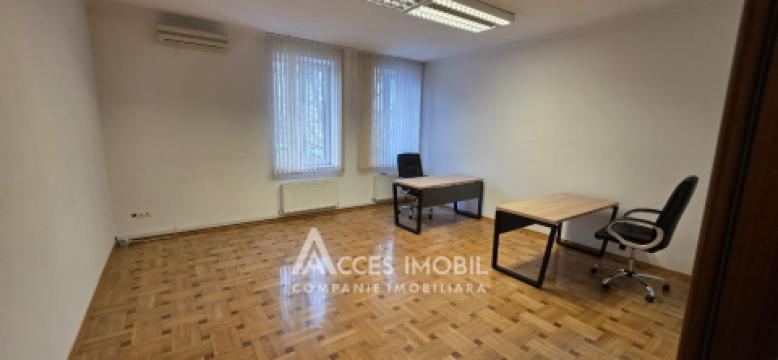 Chirie! Spațiu Comercial 380m2! Centru, str. Alexei Șciusev. Euroreparație!: 18