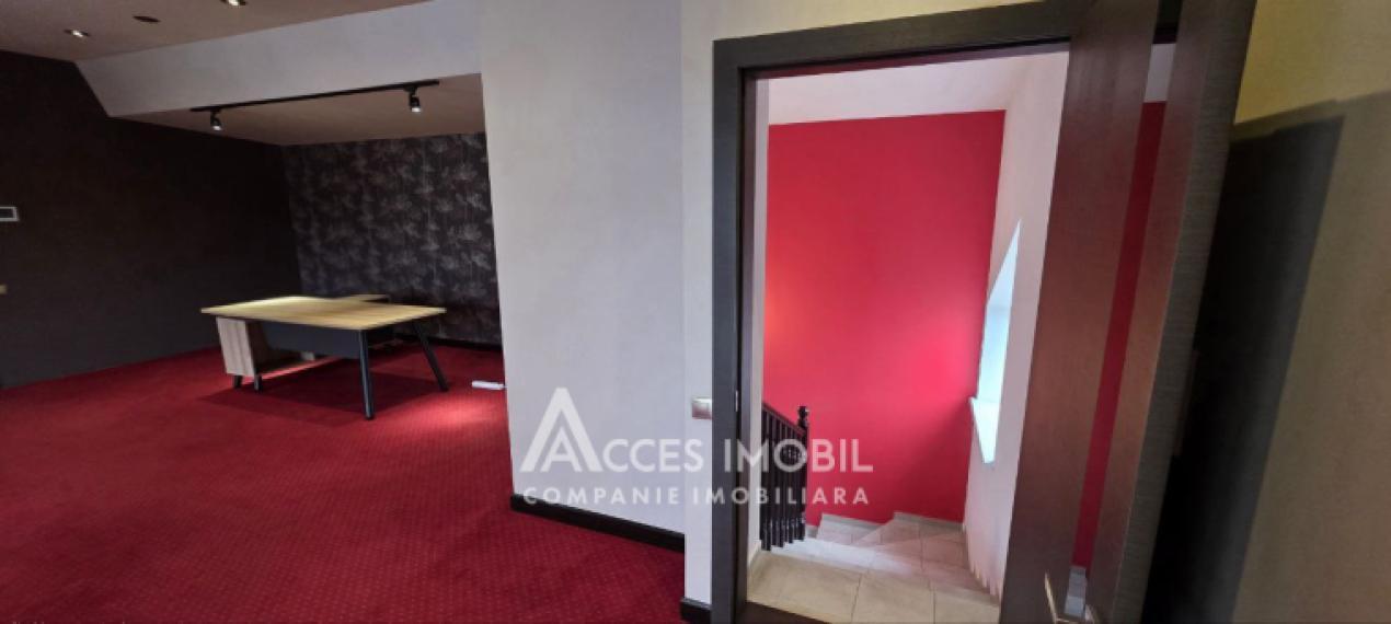 Chirie! Spațiu Comercial 380m2! Centru, str. Alexei Șciusev. Euroreparație!: 24