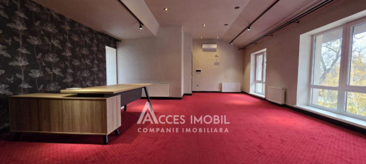 Chirie! Spațiu Comercial 380m2! Centru, str. Alexei Șciusev. Euroreparație!: 22