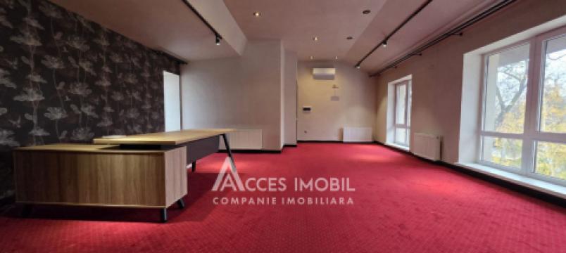 Chirie! Spațiu Comercial 380m2! Centru, str. Alexei Șciusev. Euroreparație!: 22