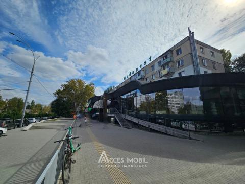 Botanica, bd. Dacia, 2 camere + living! Euroreparație!: 15