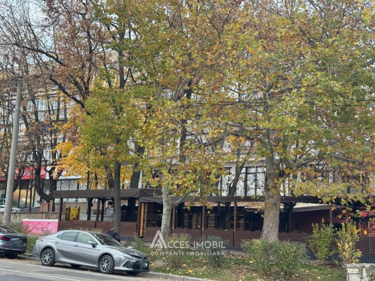 Râșcani, str. Miron Costin, 1 cameră. Localizare de mijloc!: 13