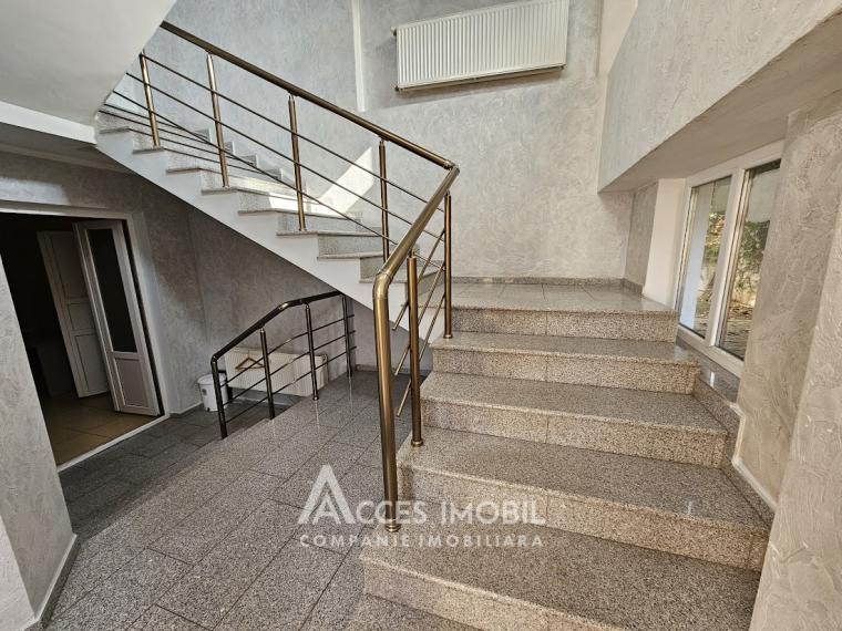 Spațiu Comercial 780m2! Centru, str. Alexei Șciusev!: 4
