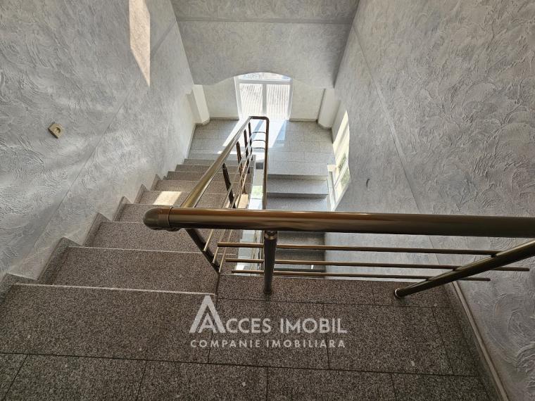 Spațiu Comercial 780m2! Centru, str. Alexei Șciusev!: 5