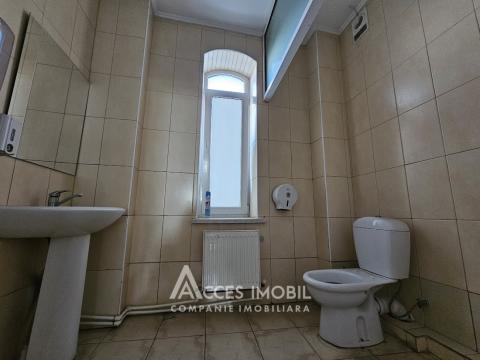 Spațiu Comercial 780m2! Centru, str. Alexei Șciusev!: 11