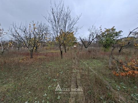 Terenuri de vânzare în Chișinău: Tohatin,
