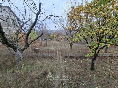 Lot de teren pomicol 6 ari, Tohatin!: 1