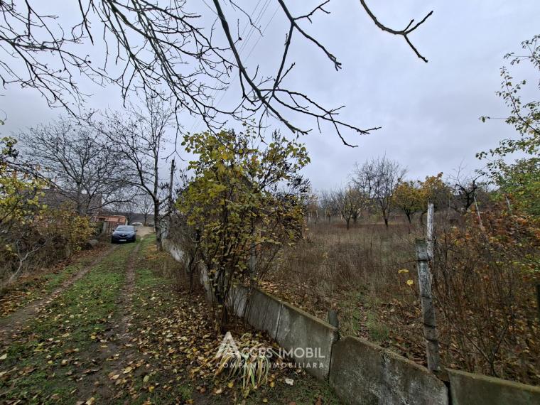 Lot de teren pomicol 6 ari, Tohatin!: 2