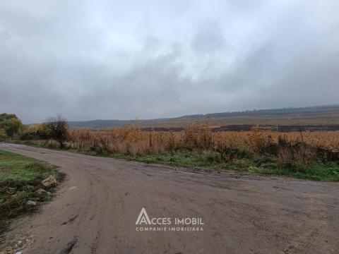 Terenuri de vânzare în Chișinău: Codru, Ip Vierul