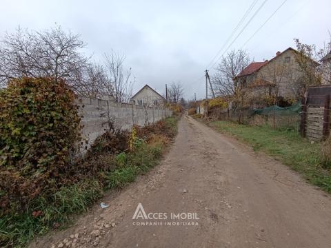 Teren pomicol 6 ari, Codru, str. Ip Vierul!: 1