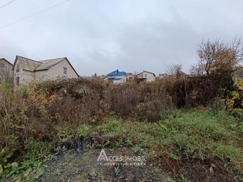 Teren pomicol 6 ari, Codru, str. Ip Vierul!: 2