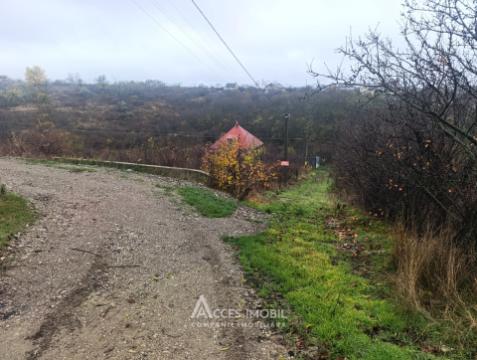 Сельскохозяйственный земельный участок! Яловены, ИП "Вертина - Прим", 5 соток!: 1