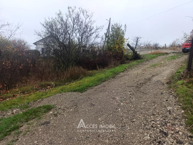 Сельскохозяйственный земельный участок! Яловены, ИП "Вертина - Прим", 5 соток!: 2