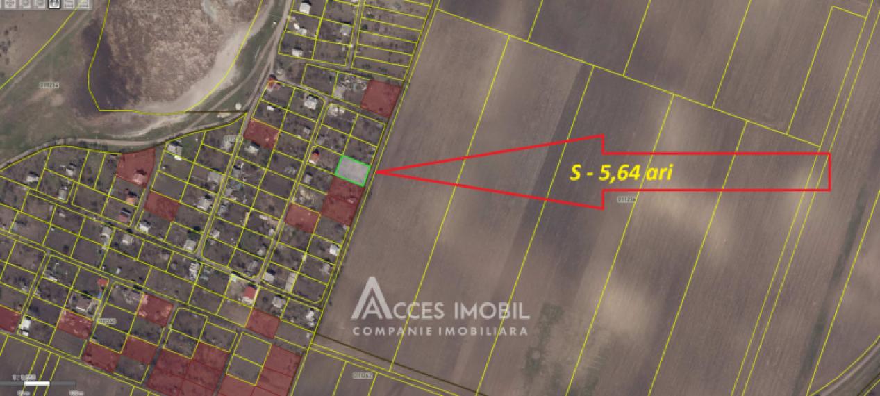 Lot de teren pomicol 6 ari, Dobrogea!: 3