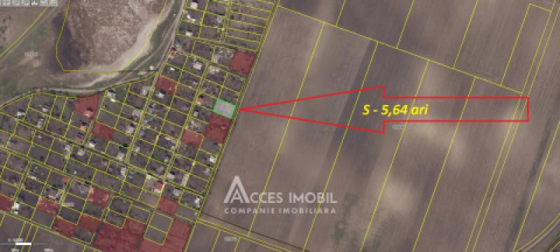 Lot de teren pomicol 6 ari, Dobrogea!: 3