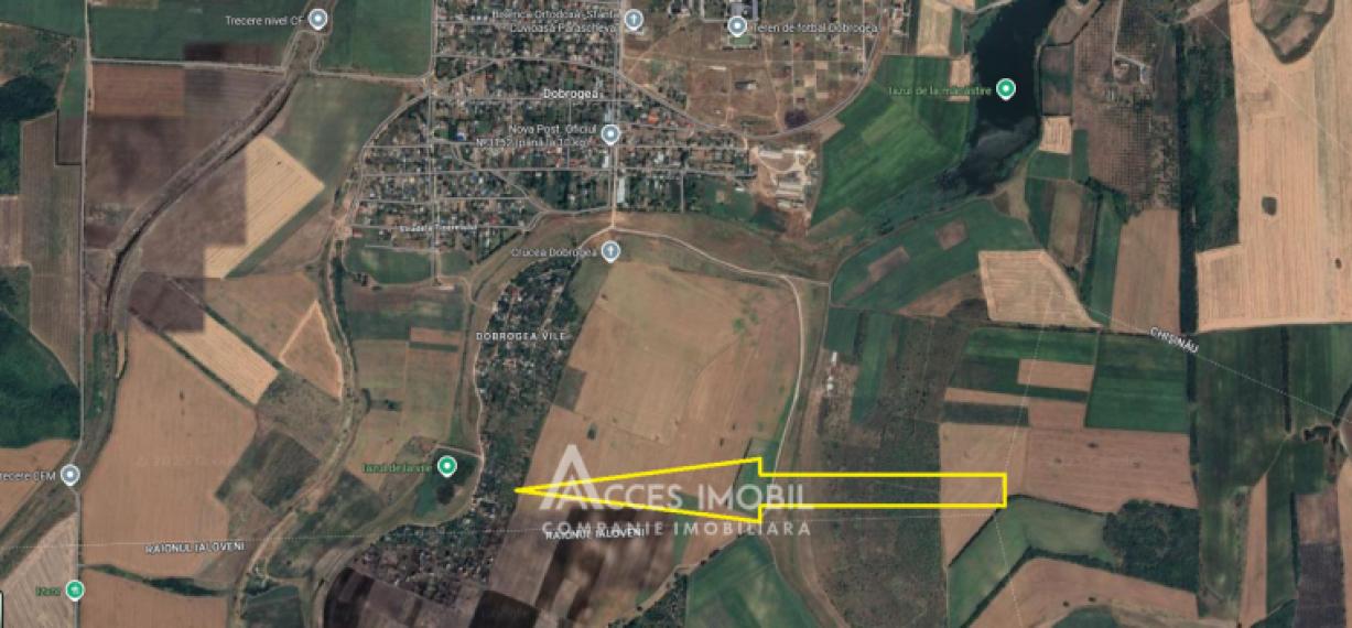 Lot de teren pomicol 6 ari, Dobrogea!: 4