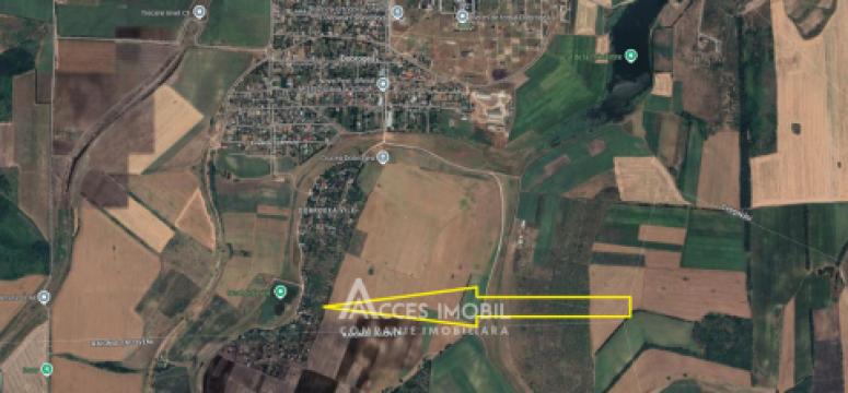 Lot de teren pomicol 6 ari, Dobrogea!: 4