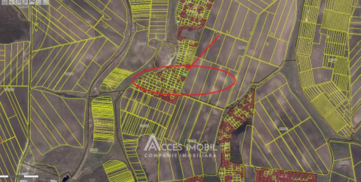 Lot de teren pomicol 6 ari, Dobrogea!: 5