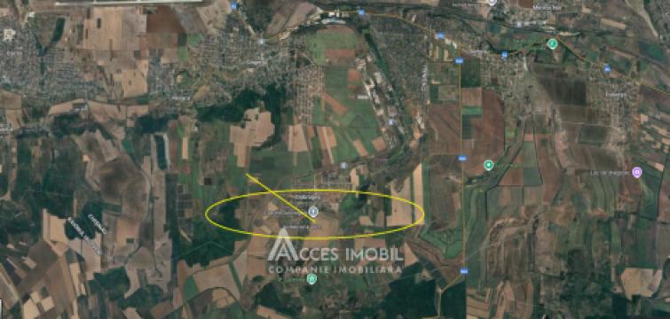 Lot de teren pomicol 6 ari, Dobrogea!: 6