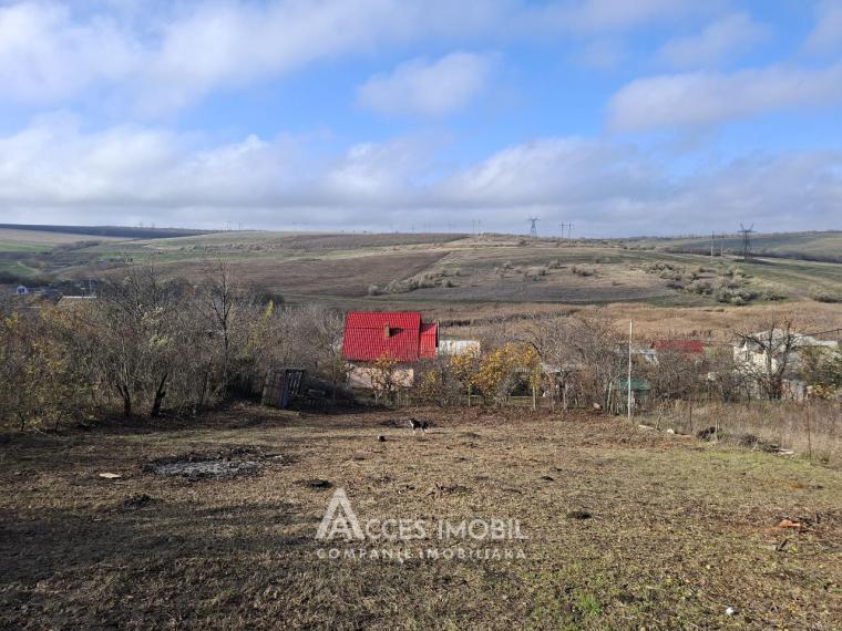 Lot de teren pomicol 6 ari, Dobrogea!: 1