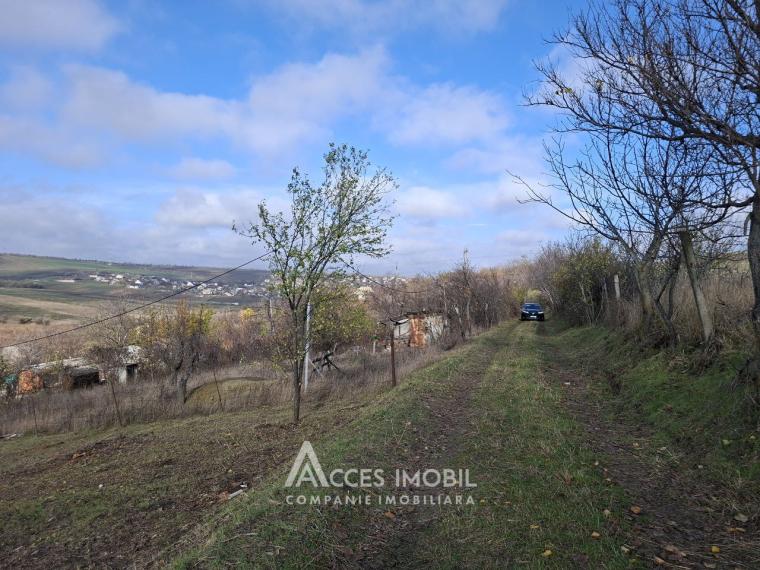 Lot de teren pomicol 6 ari, Dobrogea!: 2