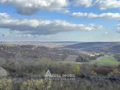 Lot de teren agricol, 18 ari. Extravilan, Colonița!: 3
