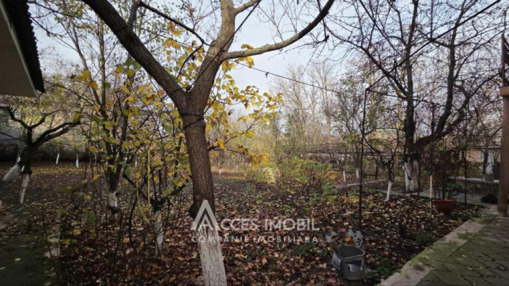 Casă în 2 niveluri! Cricova, str. Ion Ciorescu, 180m2 + 15 ari!: 25