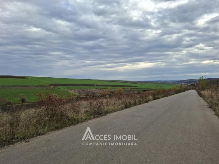 Lot de teren agricol, 238 ari. Extravilan, Colonița!: 0