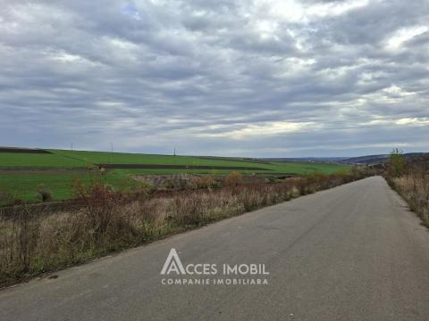 Terenuri de vânzare în Chișinău: Colonița Extravilan