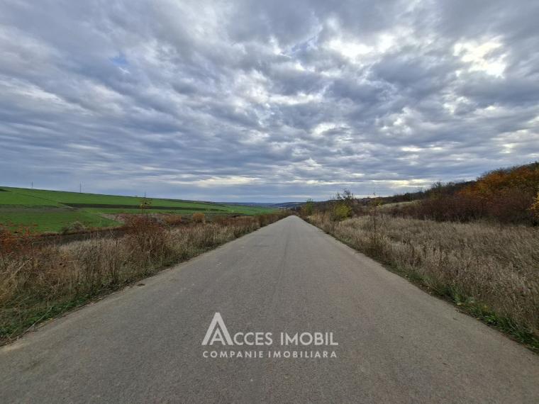 Lot de teren agricol, 238 ari. Extravilan, Colonița!: 2