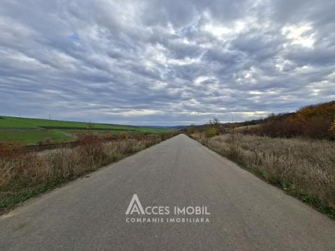 Lot de teren agricol, 238 ari. Extravilan, Colonița!: 2