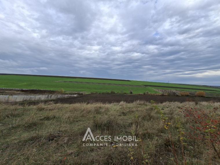 Lot de teren agricol, 238 ari. Extravilan, Colonița!: 1