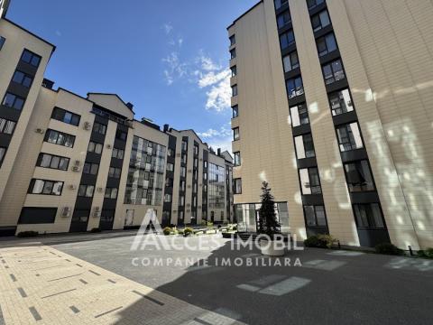 : Centru, str. Moara Roșie