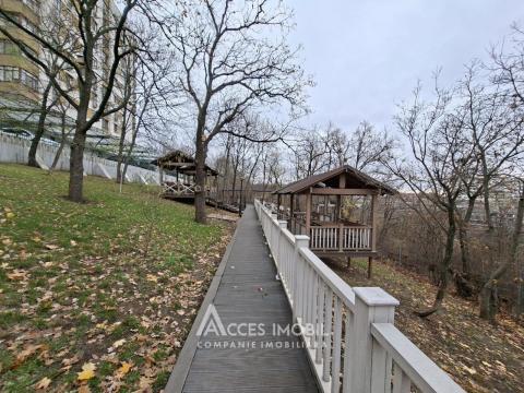 Volare Tur! Botanica, Grenoble street, 2 rooms + living! Euro repair!: 15