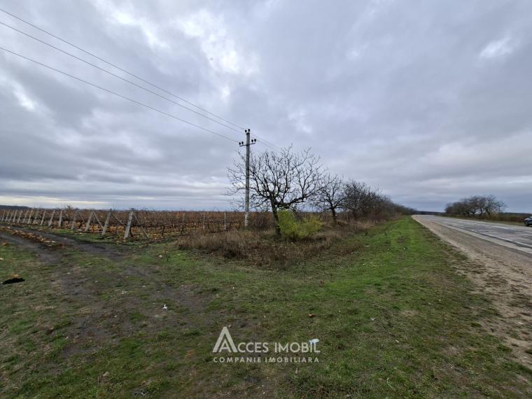 Teren agricol 140 ari! Traseul M5, Drăsliceni!: 0