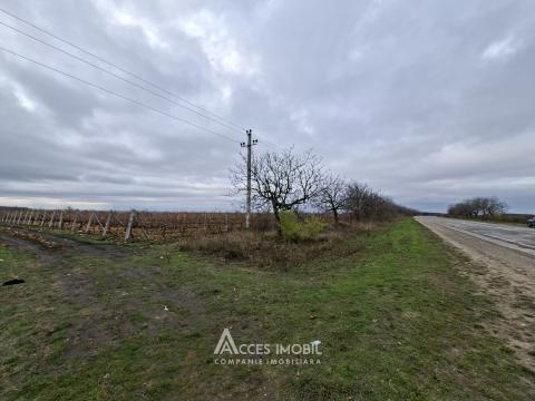 Terenuri de vânzare în Chișinău: Drăsliceni Traseul M5