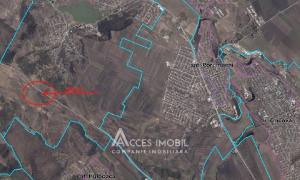 Teren agricol 140 ari! Traseul M5, Drăsliceni!: 10