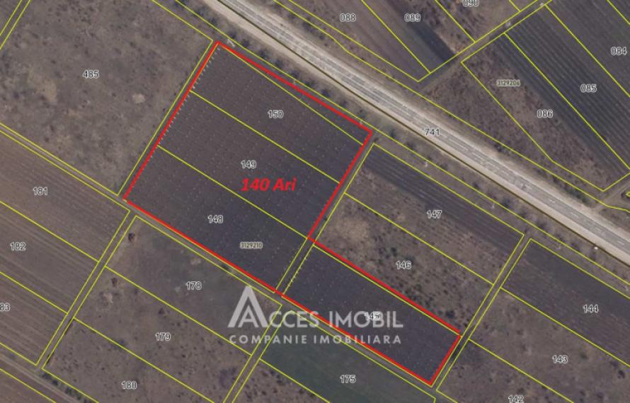 Teren agricol 140 ari! Traseul M5, Drăsliceni!: 11